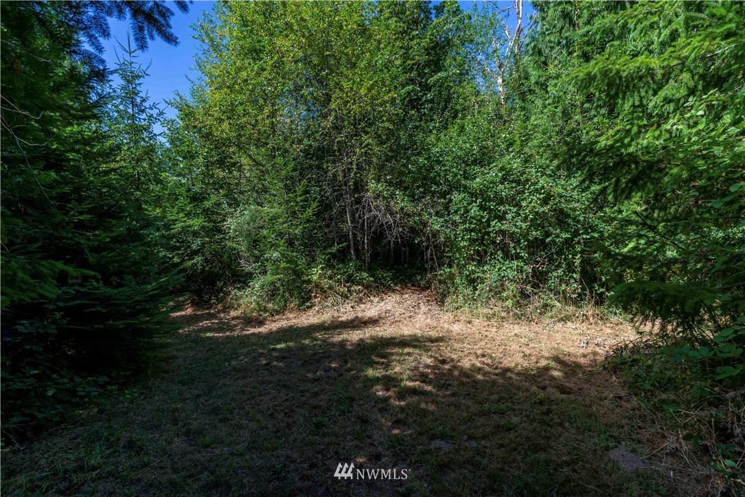 282 Centralia Alpha Road Centralia, WA 98531 - Photo 32 of 40 Gallery Image 32