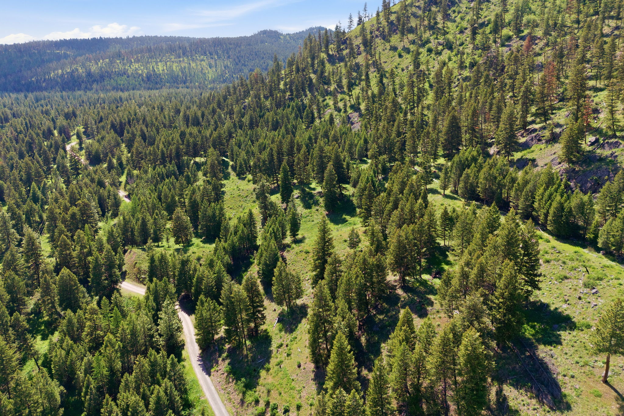 2 Big Waters Ranch Seeley Lake, MT 59868 - Photo 24 of 33 Gallery Image 24