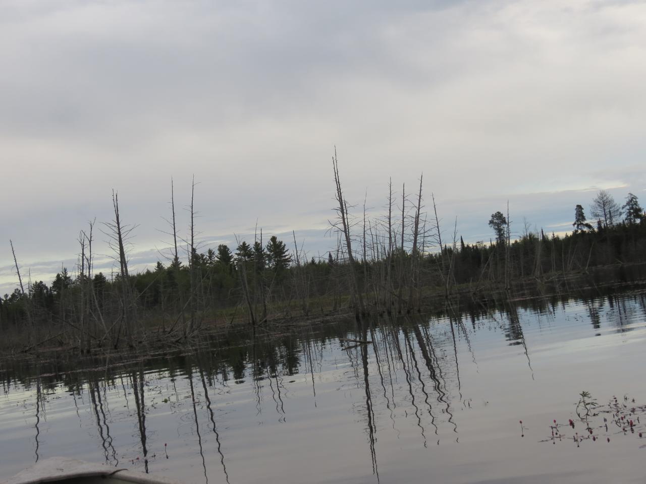 Off Rueckert Road Rhinelander, WI 54501 - Photo 3 of 8 Gallery Image 3