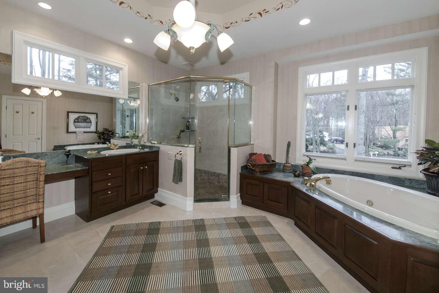 8726 Brook Road McLean, VA 22102 - Photo 16 of 30 Bath (Master)