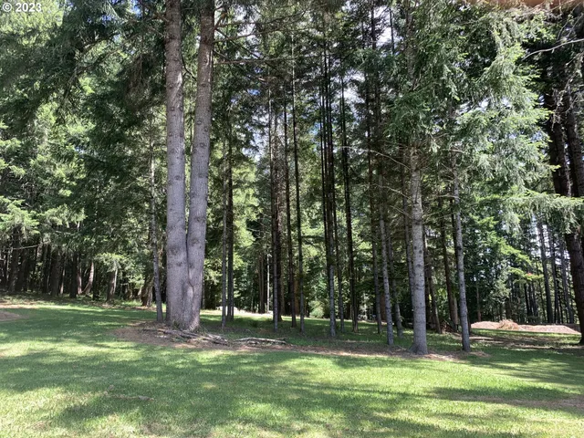 $574,500 | 711 Ave H, Powers, OR 97466