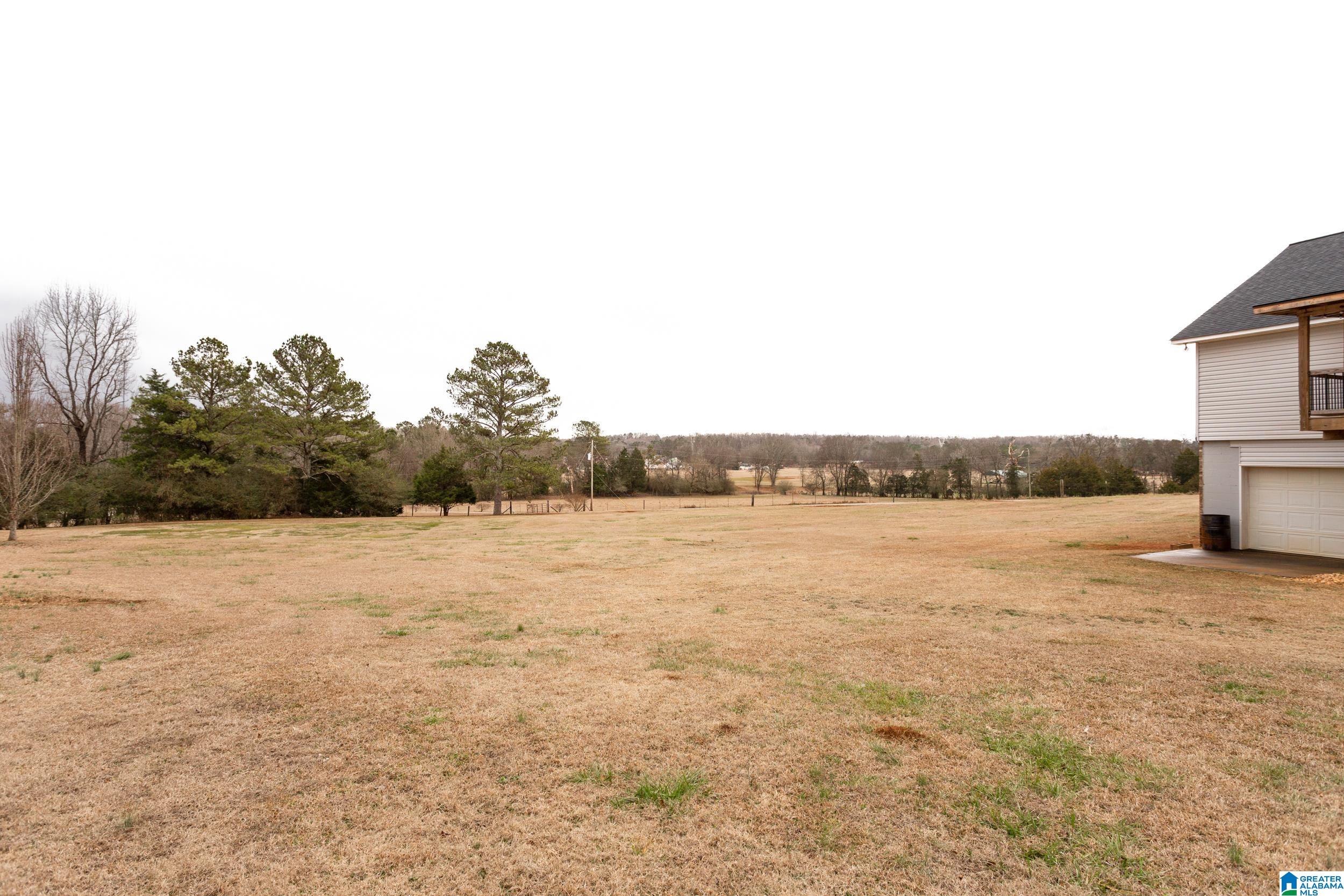 1050 Alexandria-Wellington Road Alexandria, AL 36250 - Photo 33 of 40