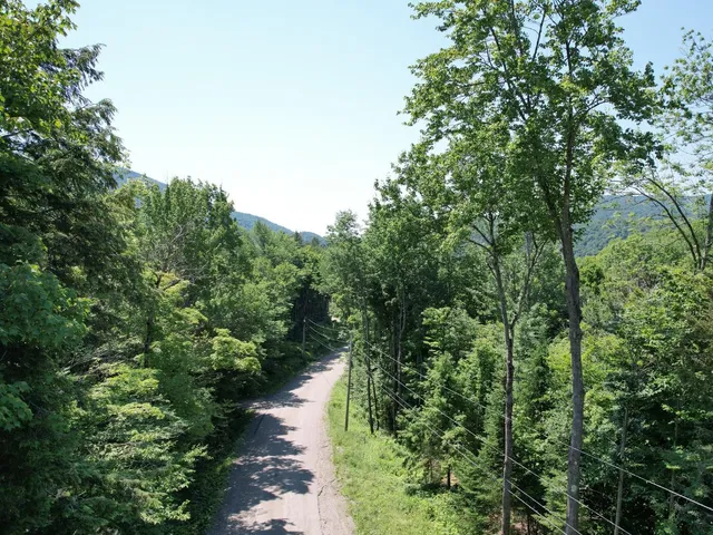 $359,000 | 0 Plunkton Road, Warren, VT 05674