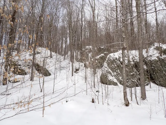 $359,000 | 0 Plunkton Road, Warren, VT 05674