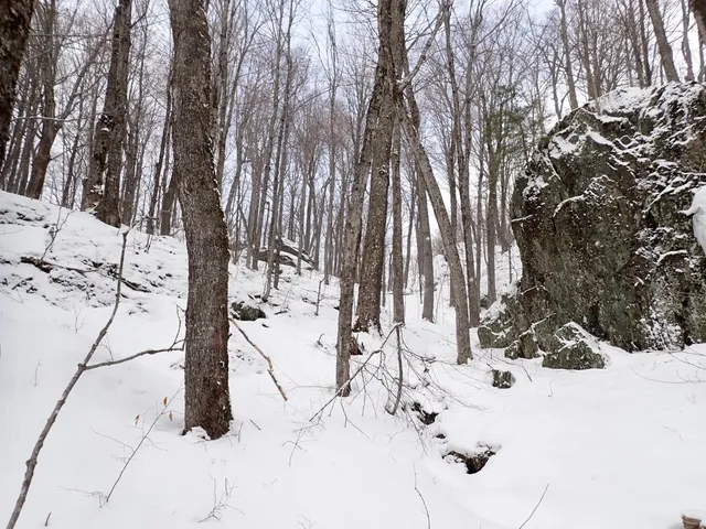 $359,000 | 0 Plunkton Road, Warren, VT 05674