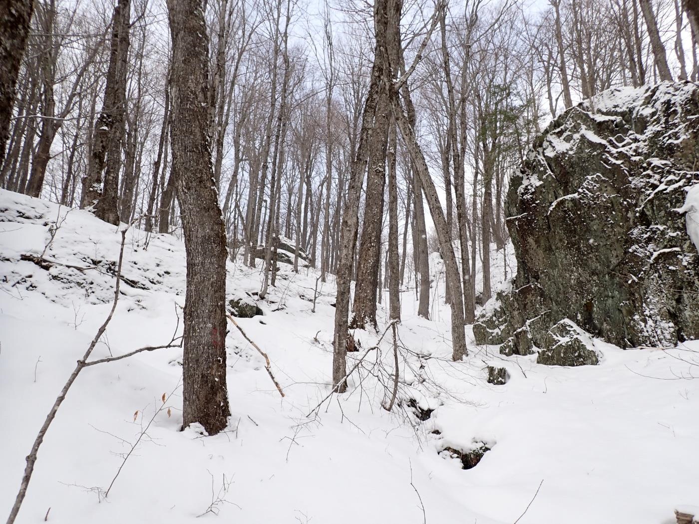 0 Plunkton Road Warren, VT 05674 - Photo 12 of 25
