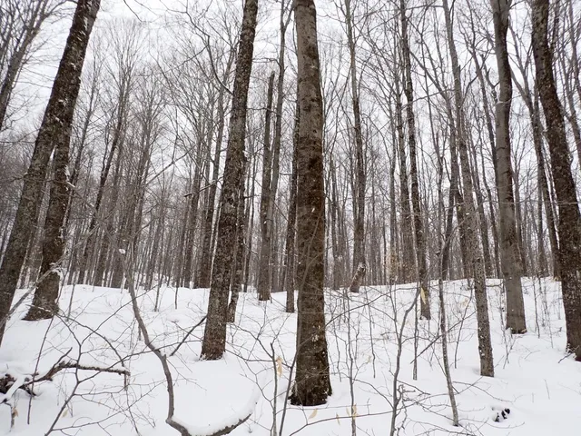 $359,000 | 0 Plunkton Road, Warren, VT 05674