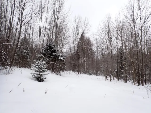 $359,000 | 0 Plunkton Road, Warren, VT 05674