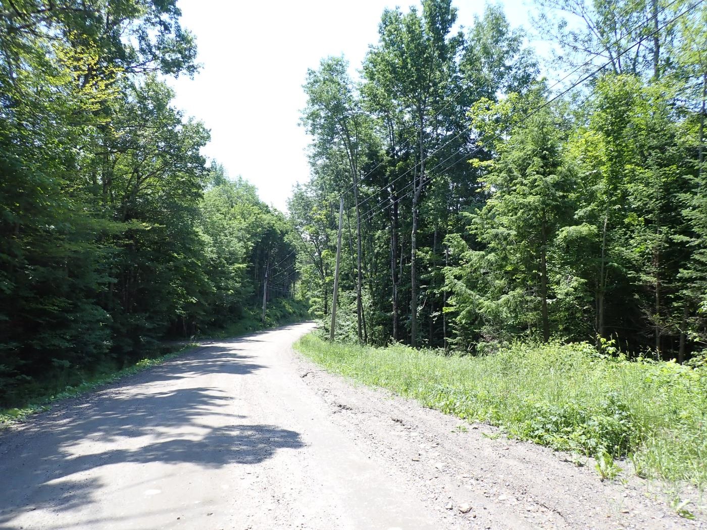 0 Plunkton Road Warren, VT 05674 - Photo 16 of 25