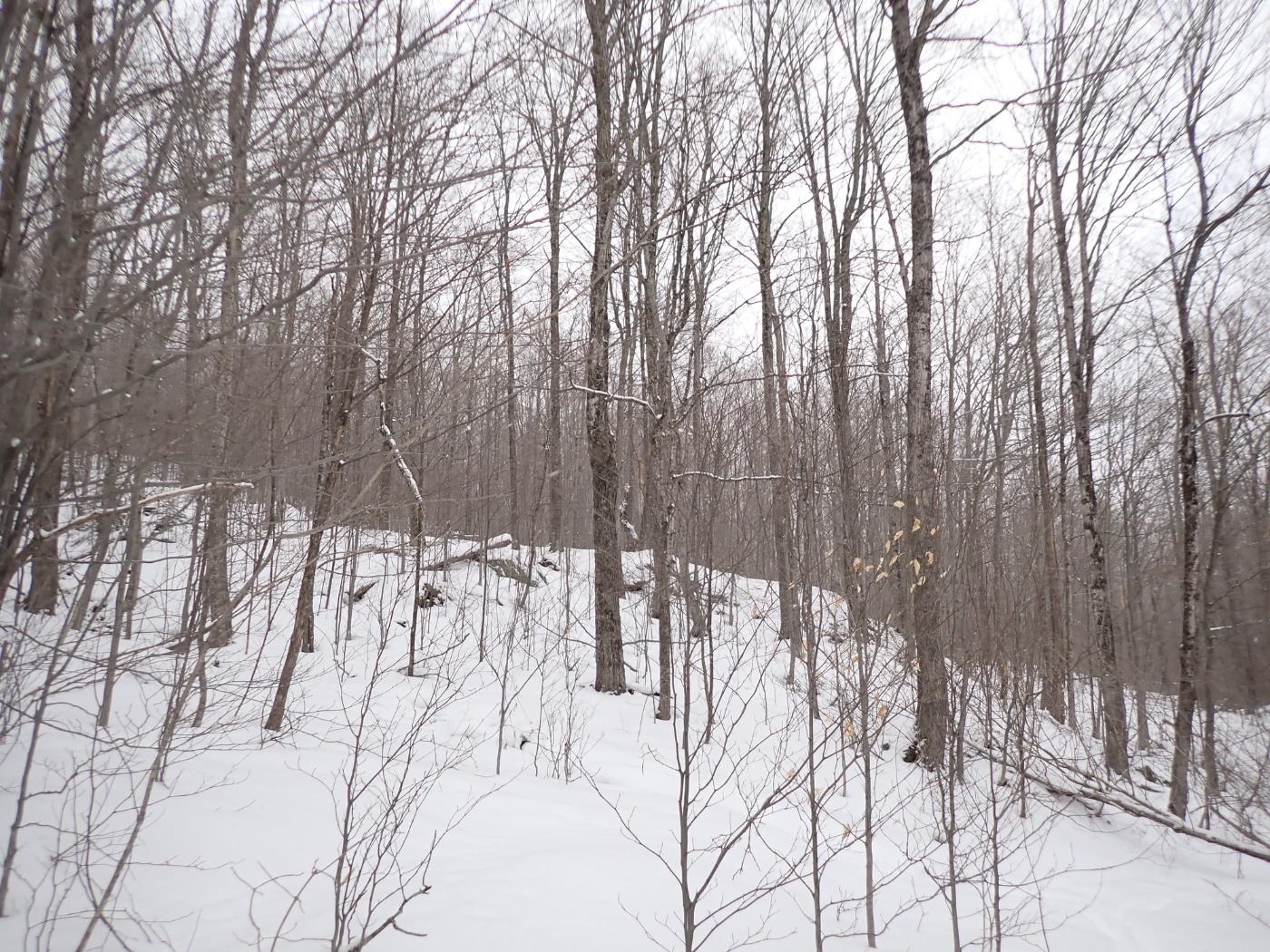 0 Plunkton Road Warren, VT 05674 - Photo 2 of 25