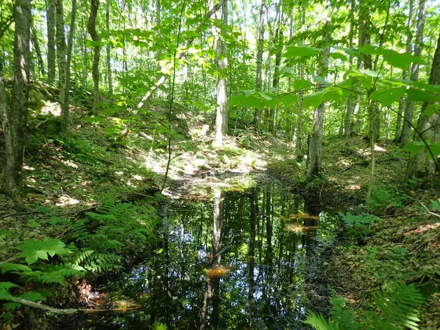 $359,000 | 0 Plunkton Road, Warren, VT 05674