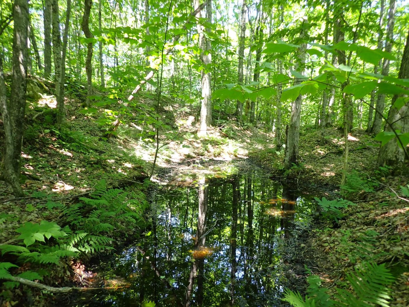 0 Plunkton Road Warren, VT 05674 - Photo 21 of 25