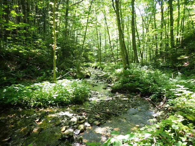 $359,000 | 0 Plunkton Road, Warren, VT 05674