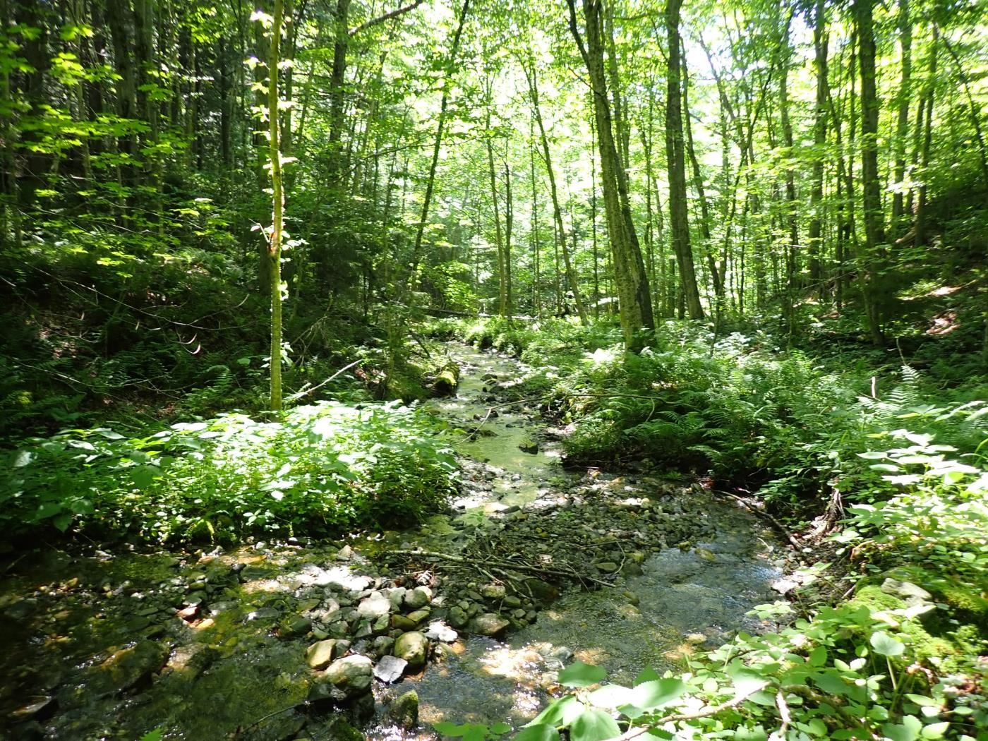 0 Plunkton Road Warren, VT 05674 - Photo 22 of 25