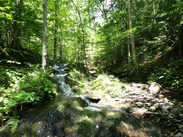 $359,000 | 0 Plunkton Road, Warren, VT 05674