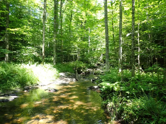 $359,000 | 0 Plunkton Road, Warren, VT 05674