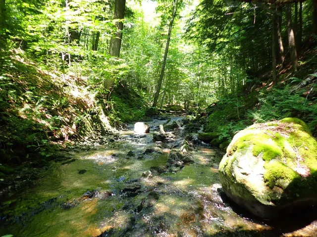 $359,000 | 0 Plunkton Road, Warren, VT 05674