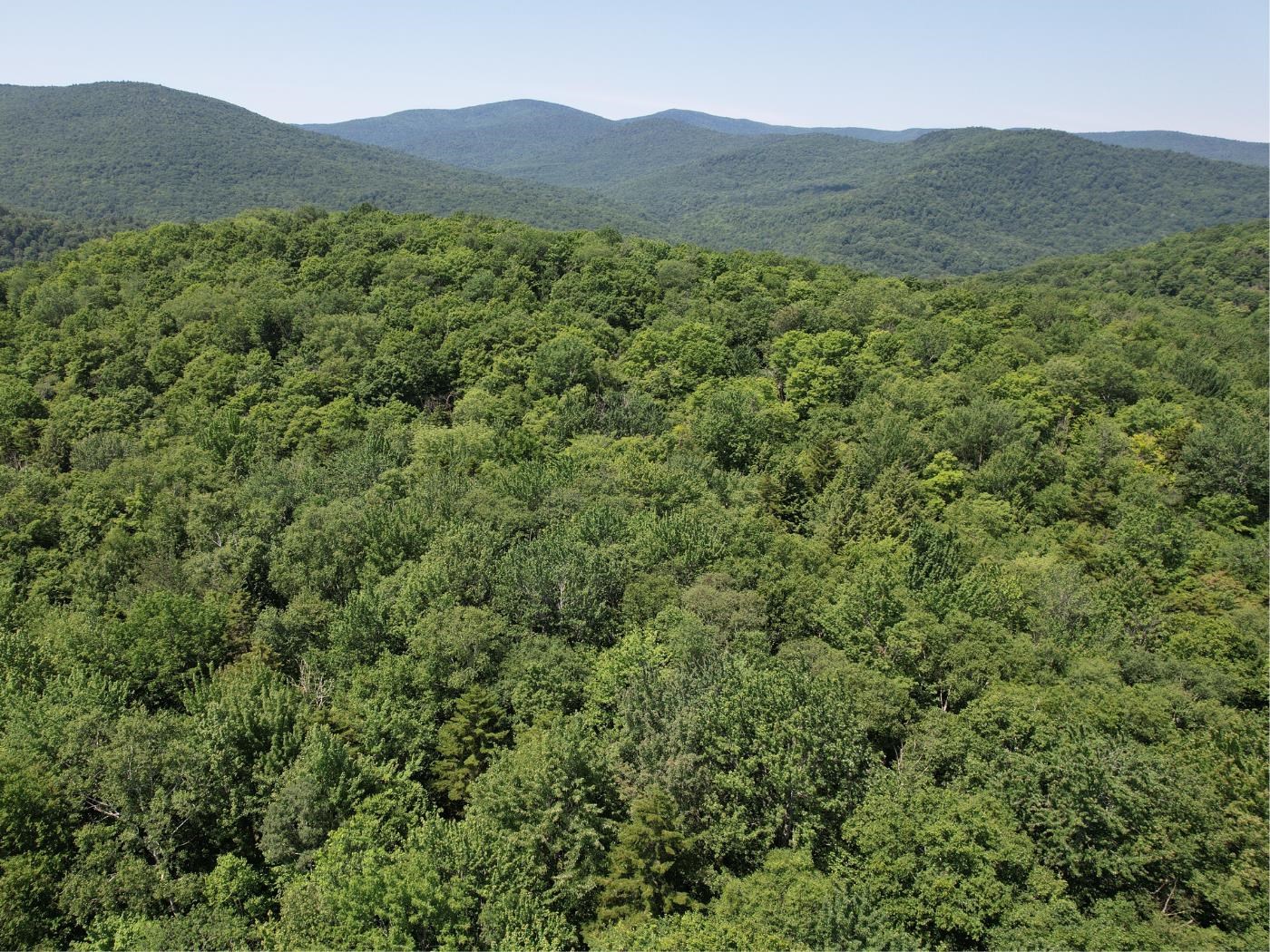 0 Plunkton Road Warren, VT 05674 - Photo 7 of 25