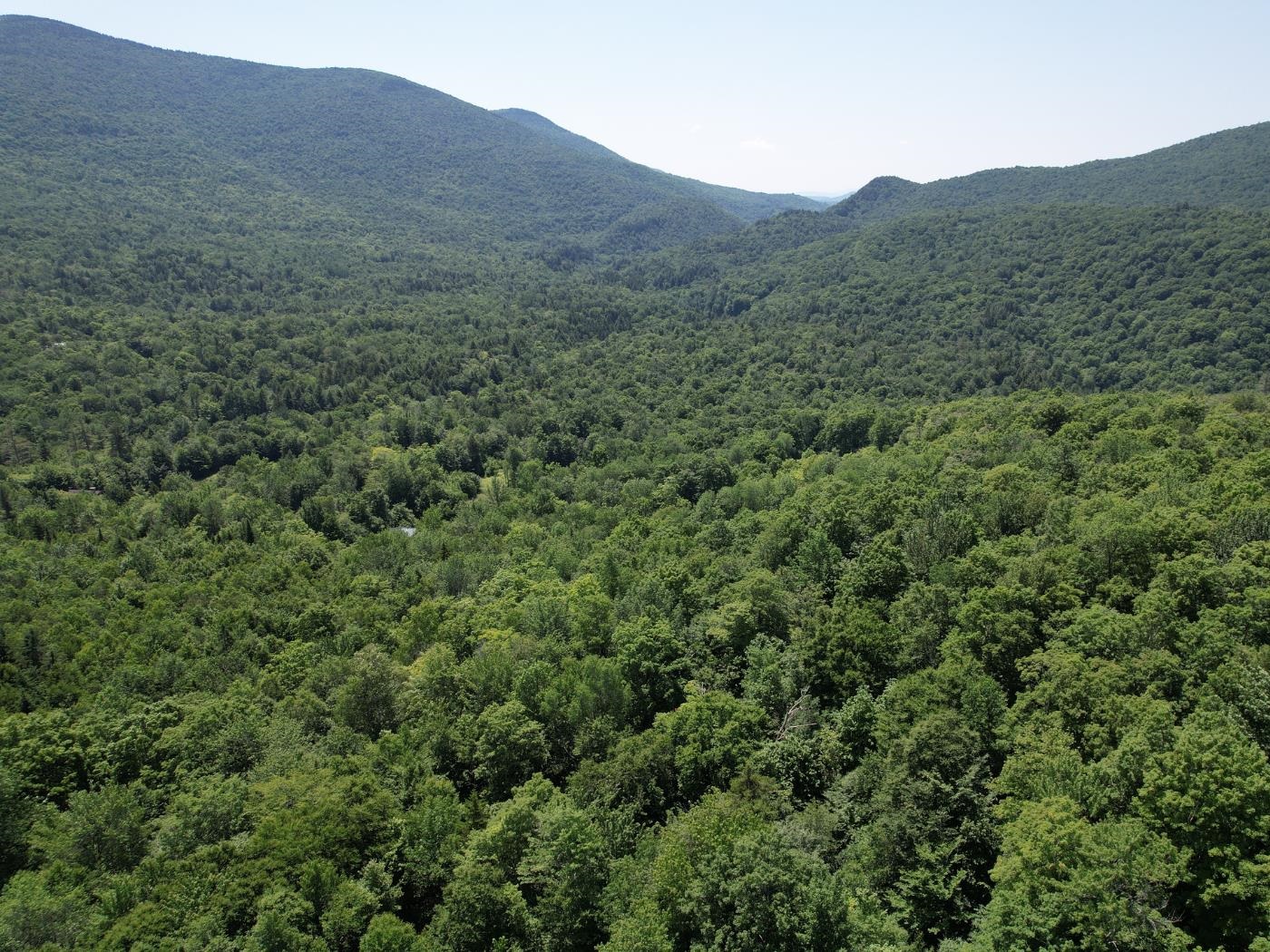 0 Plunkton Road Warren, VT 05674 - Photo 8 of 25