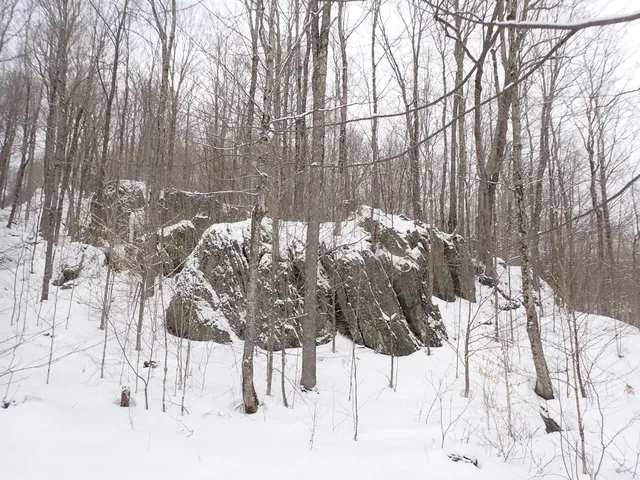 $359,000 | 0 Plunkton Road, Warren, VT 05674