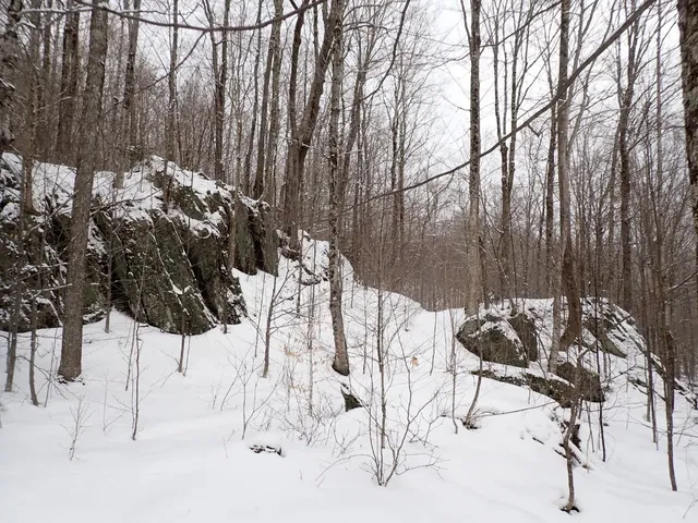 $359,000 | 0 Plunkton Road, Warren, VT 05674