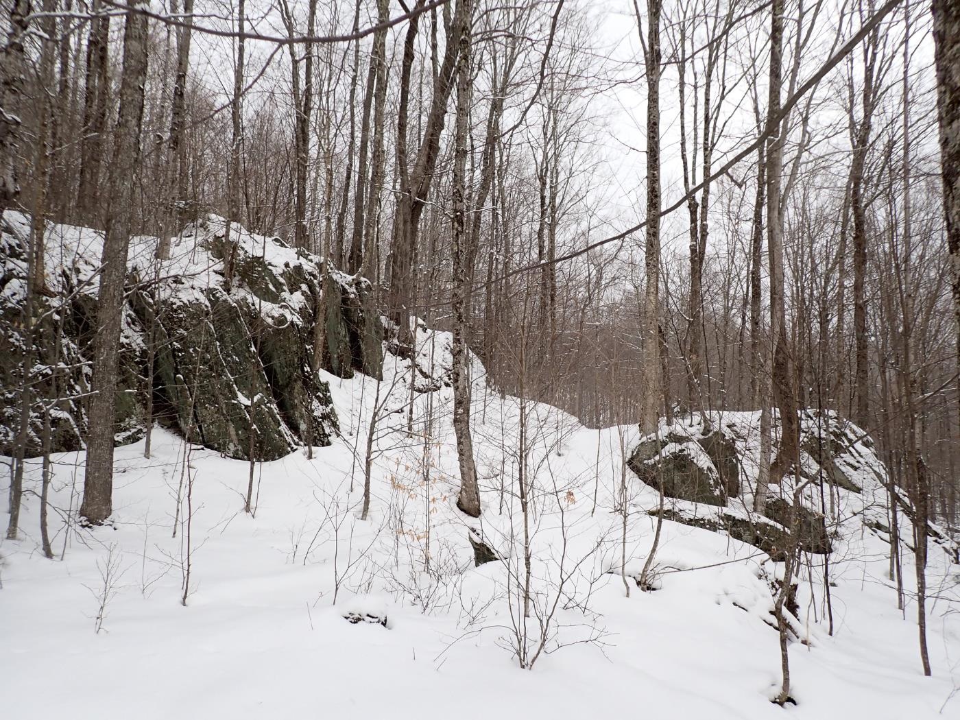 0 Plunkton Road Warren, VT 05674 - Photo 10 of 25
