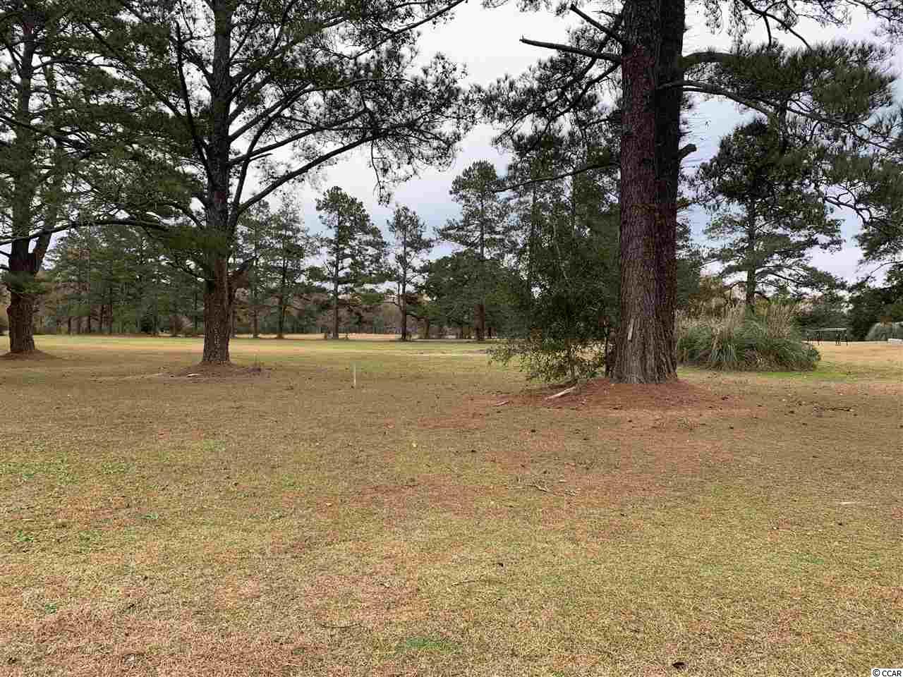 10818 County Line Road Andrews, SC 29510 - Photo 12 of 13