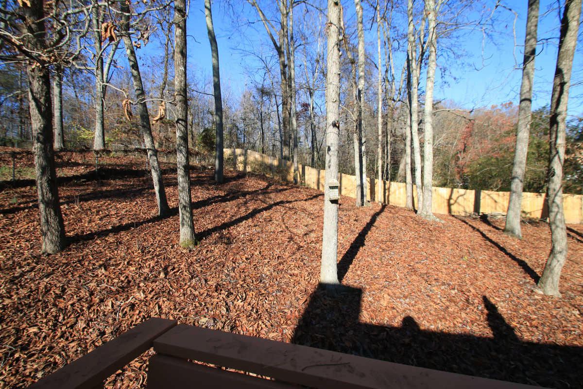 2437 Chukar Road Knoxville, TN 37923 - Photo 35 of 39 Backyard