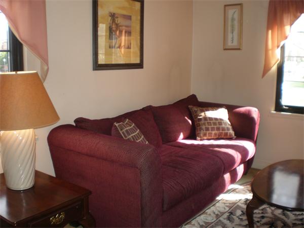 7 Pierce Road, Unit 7 Watertown, MA 02472 - Photo 4 of 15 Gallery Image 4