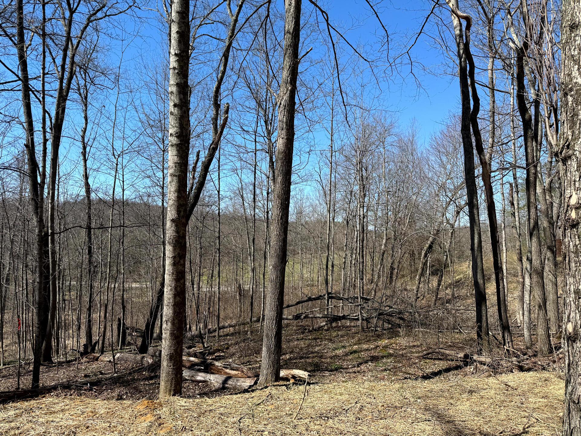 0 Dutch Ridge Road Southeast, Unit WOODS TURKEY RUN TRACT 5) New Lexington, OH 43764 - Photo 58 of 58 CT-58