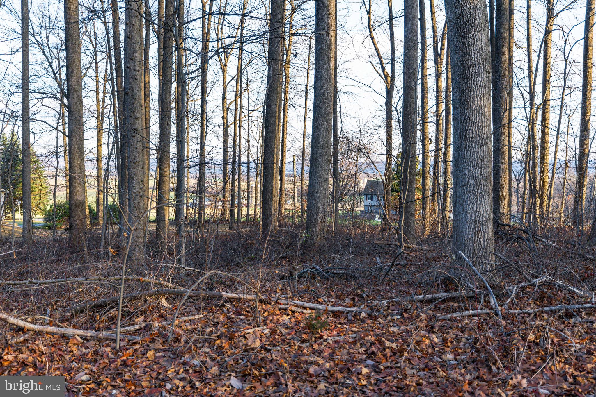 702 Lime Quarry Road Gap, PA 17527 - Photo 6 of 13 a backyard of a house with lots of green space