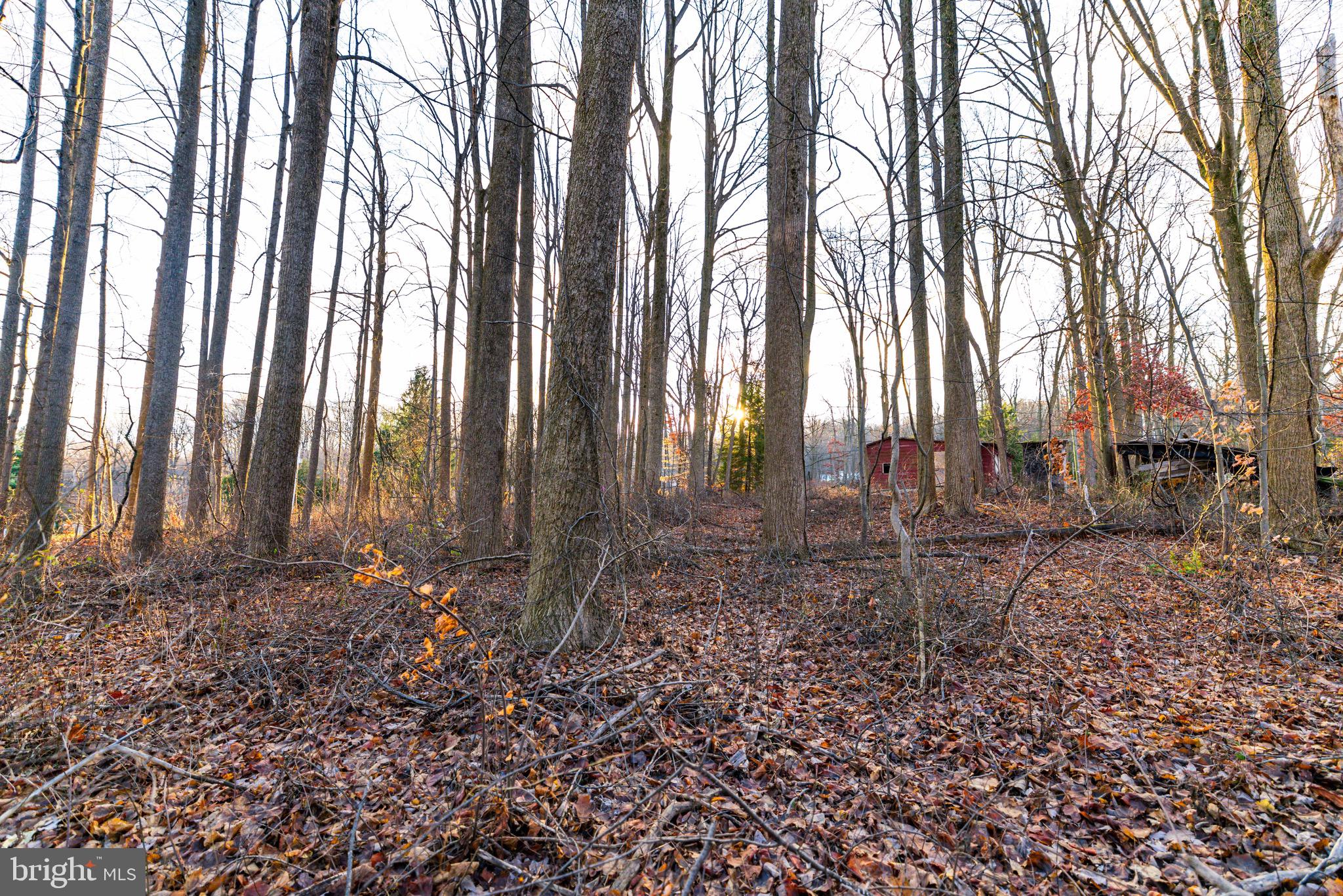 702 Lime Quarry Road Gap, PA 17527 - Photo 7 of 13 a backyard of a house with lots of green space