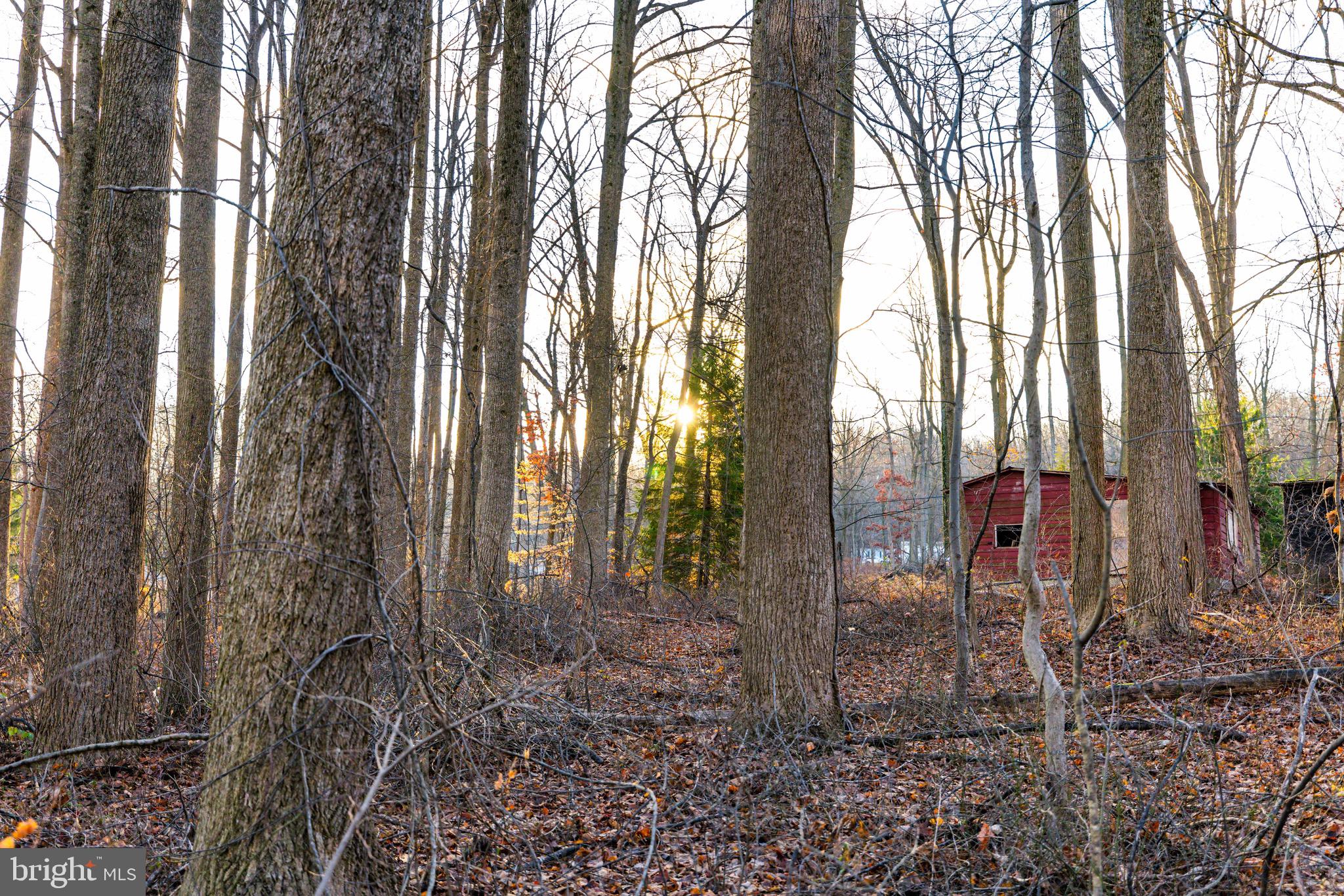 702 Lime Quarry Road Gap, PA 17527 - Photo 8 of 13 a backyard of a house with lots of green space