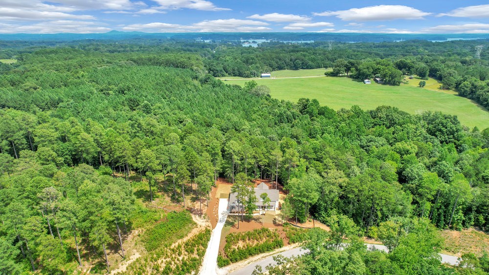 909 Falling Waters Lane Seneca, SC 29672 - Photo 4 of 50 Gallery Image 4