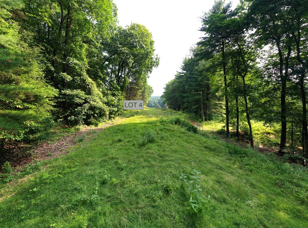 a big yard with lots of green space and trees