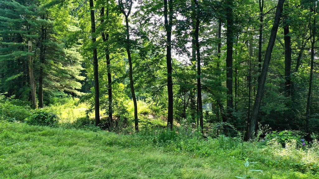 272 Old Wilson Road Northampton, MA 01062 - Photo 2 of 5 a view of outdoor space and green space