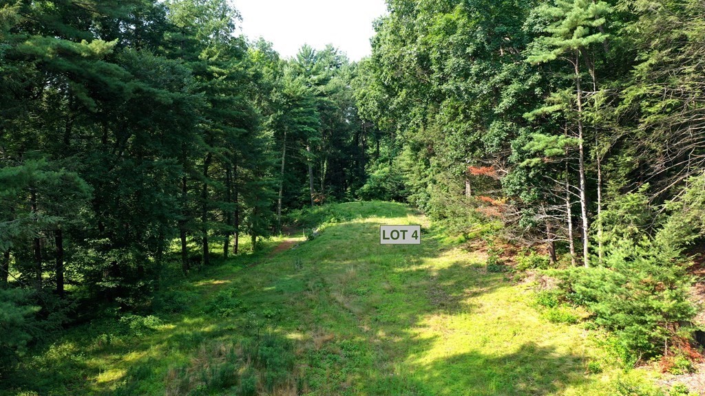272 Old Wilson Road Northampton, MA 01062 - Photo 4 of 5 a view of a trees with a yard