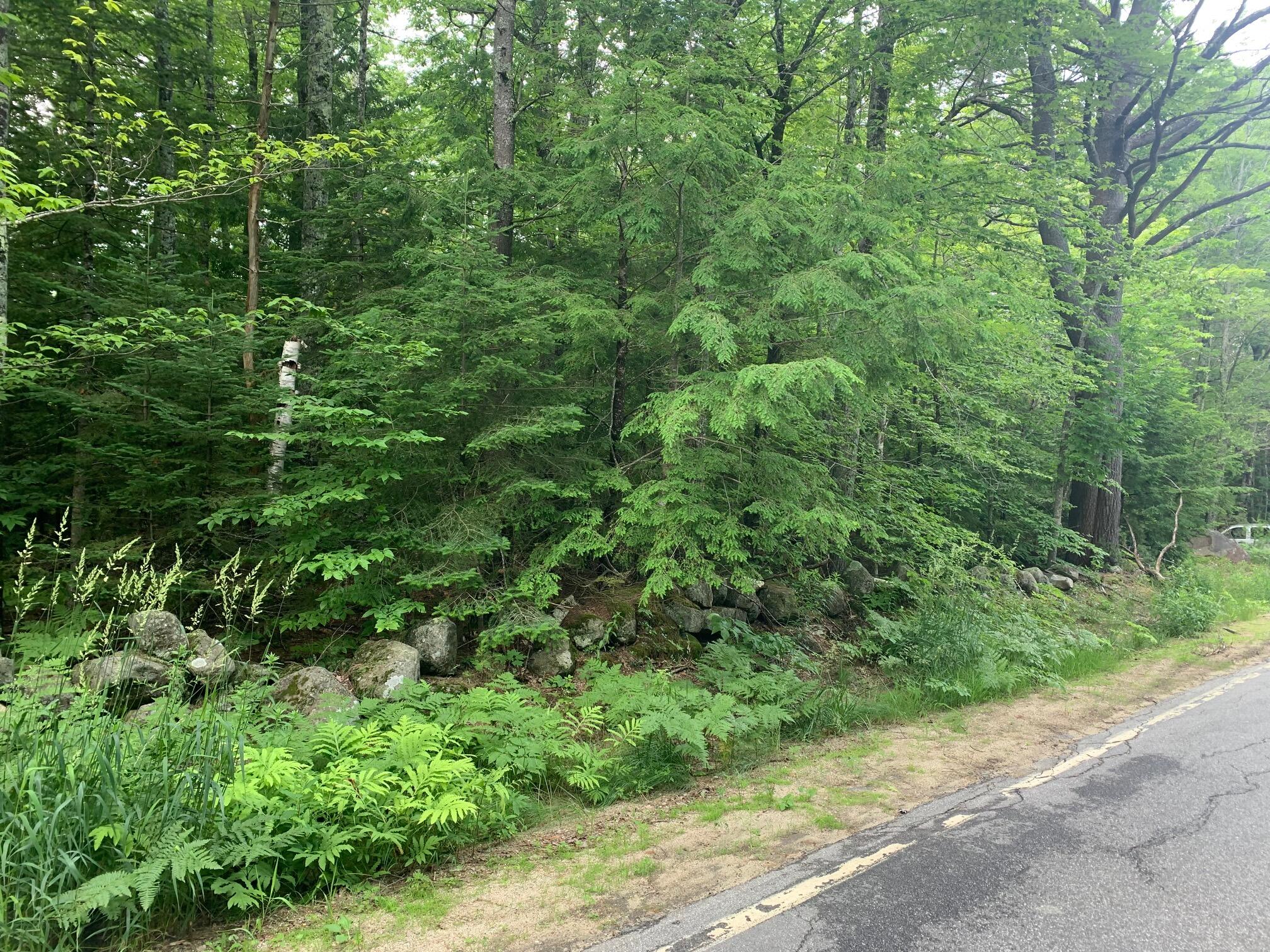 15 Bridgton Road Harrison, ME 04040 - Photo 8 of 16 ROCK WALLS