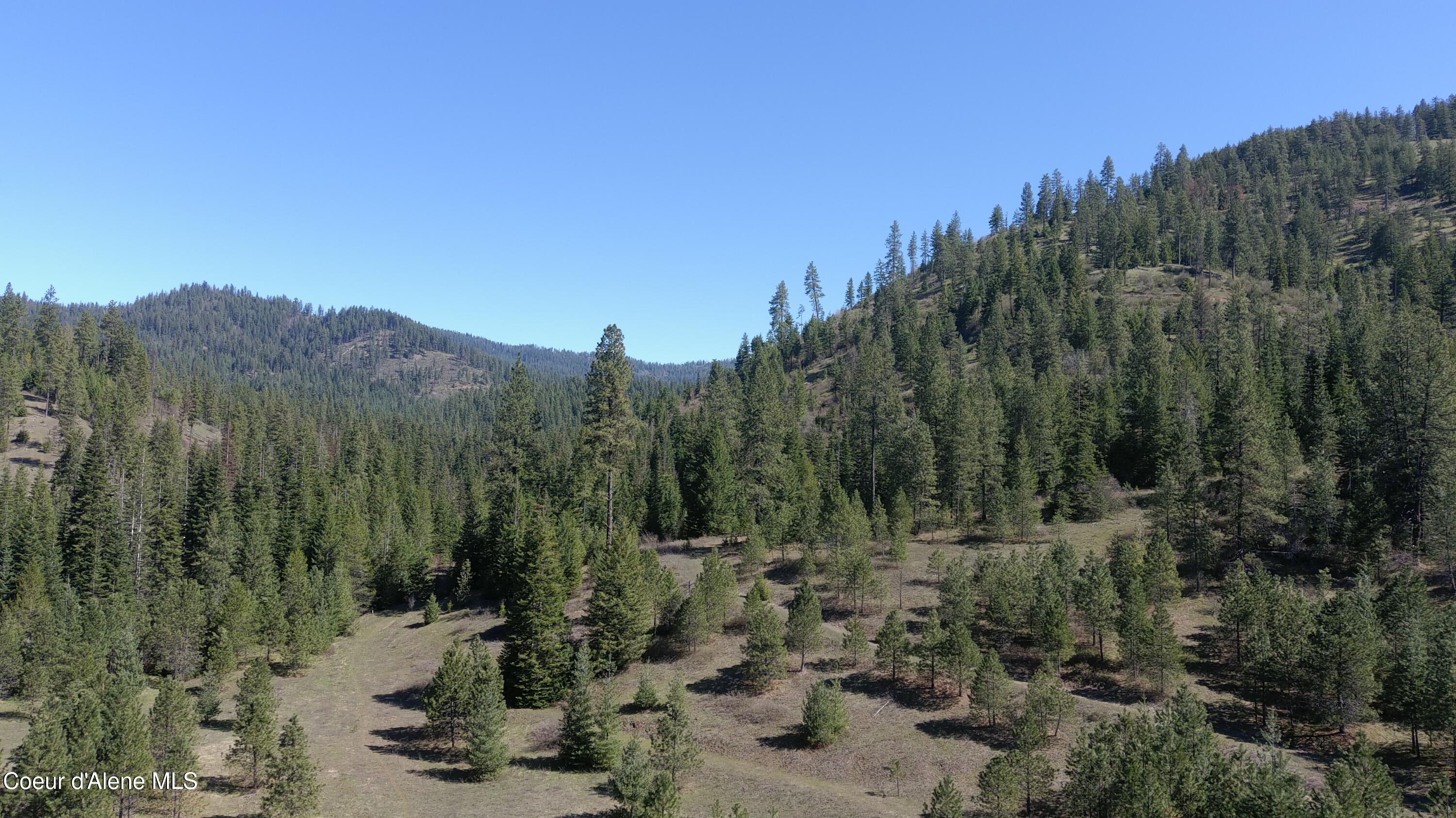 Carlin Creek Road, Unit 256 Harrison, ID 83833 - Photo 13 of 31 MAX_0009