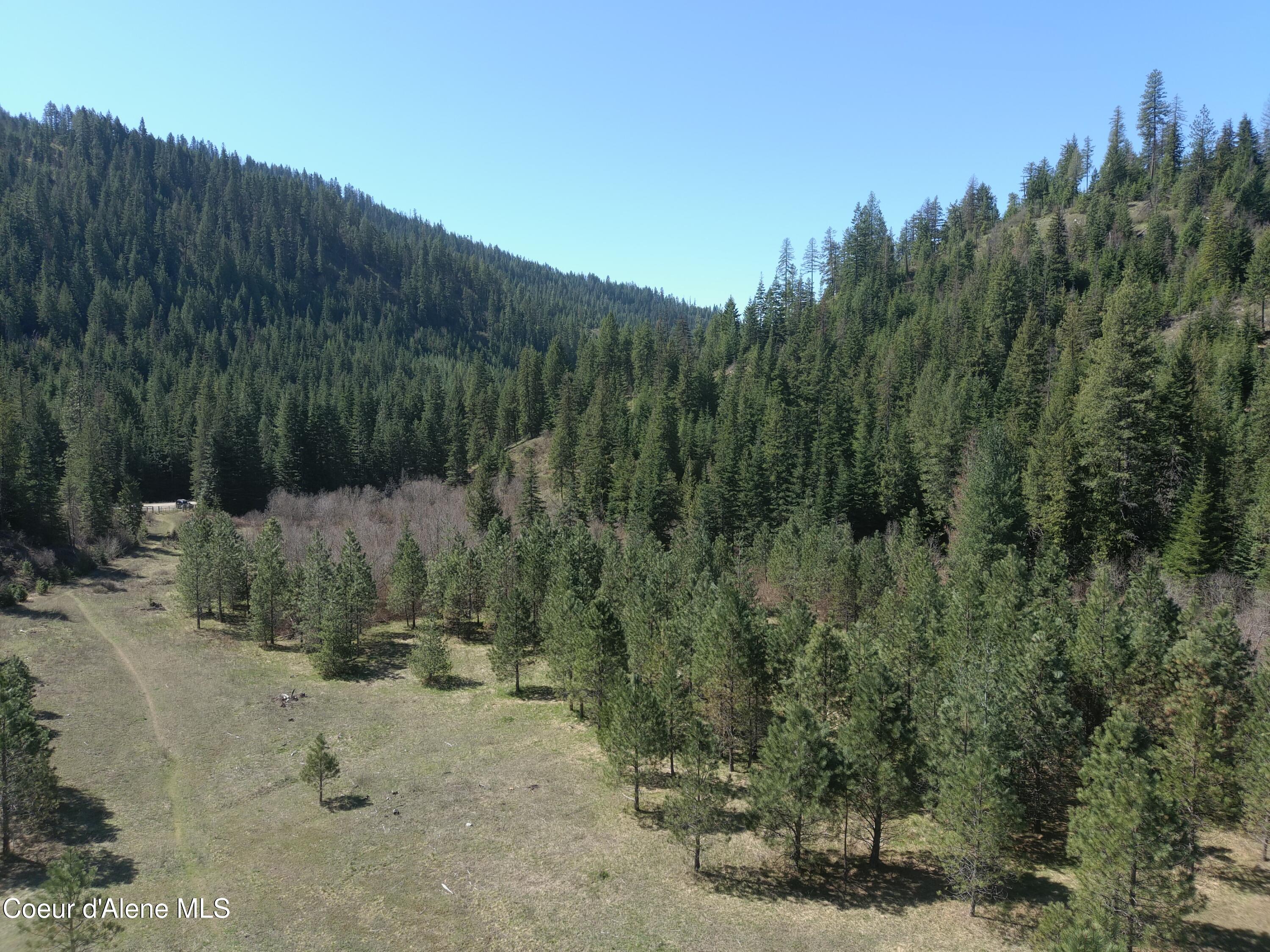 Carlin Creek Road, Unit 256 Harrison, ID 83833 - Photo 18 of 31 MAX_0018