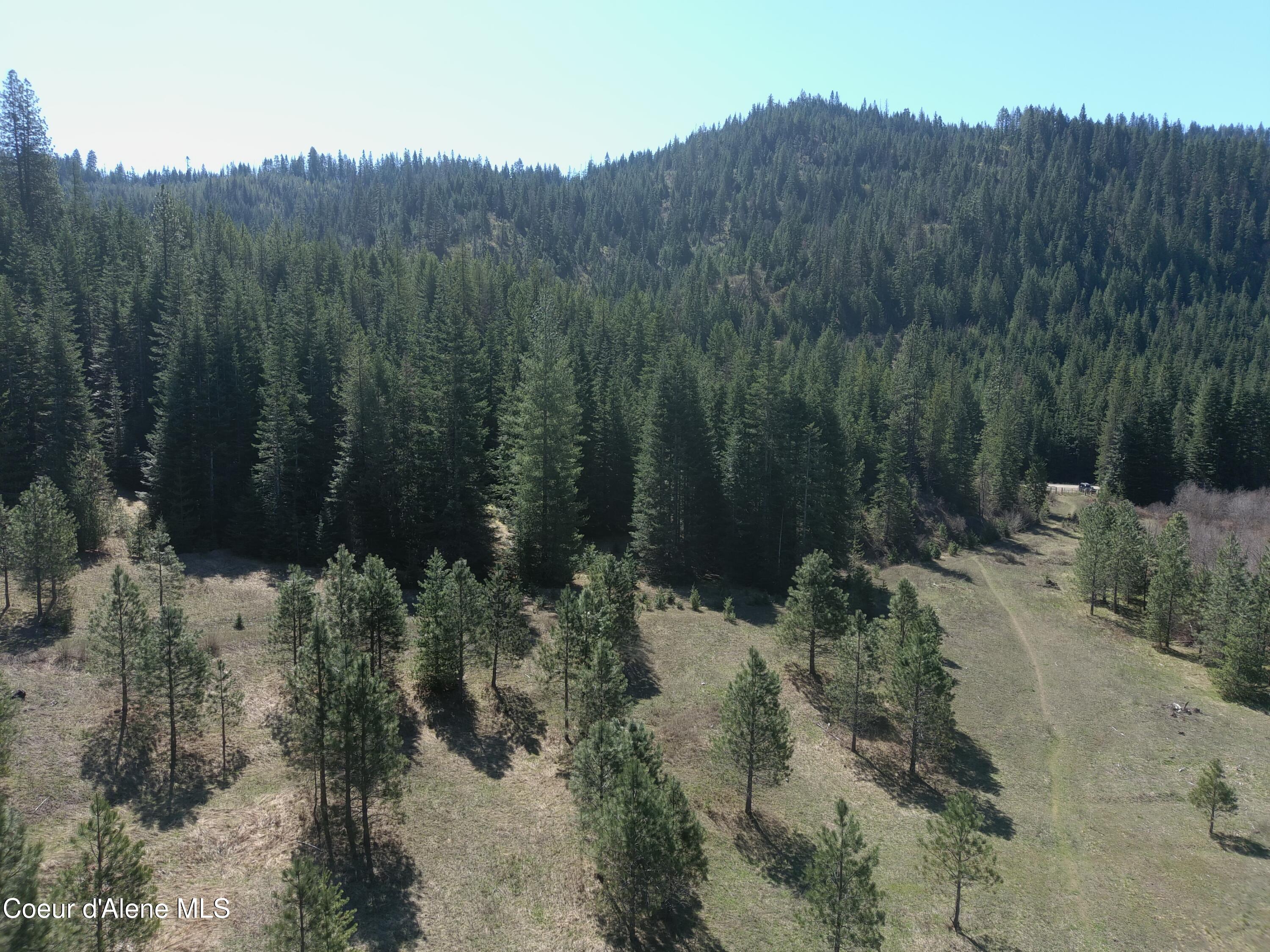 Carlin Creek Road, Unit 256 Harrison, ID 83833 - Photo 19 of 31 MAX_0019