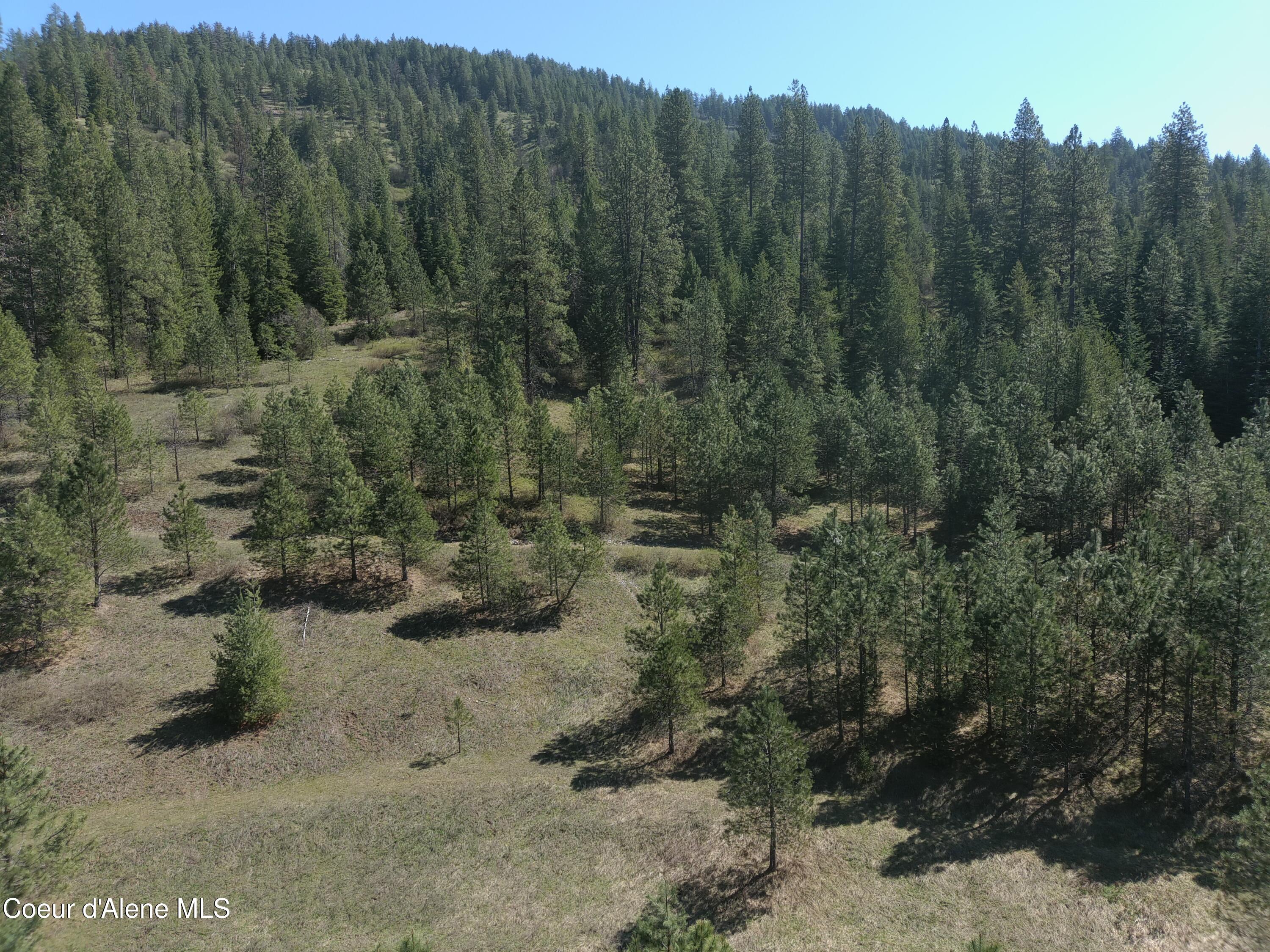 Carlin Creek Road, Unit 256 Harrison, ID 83833 - Photo 20 of 31 MAX_0020