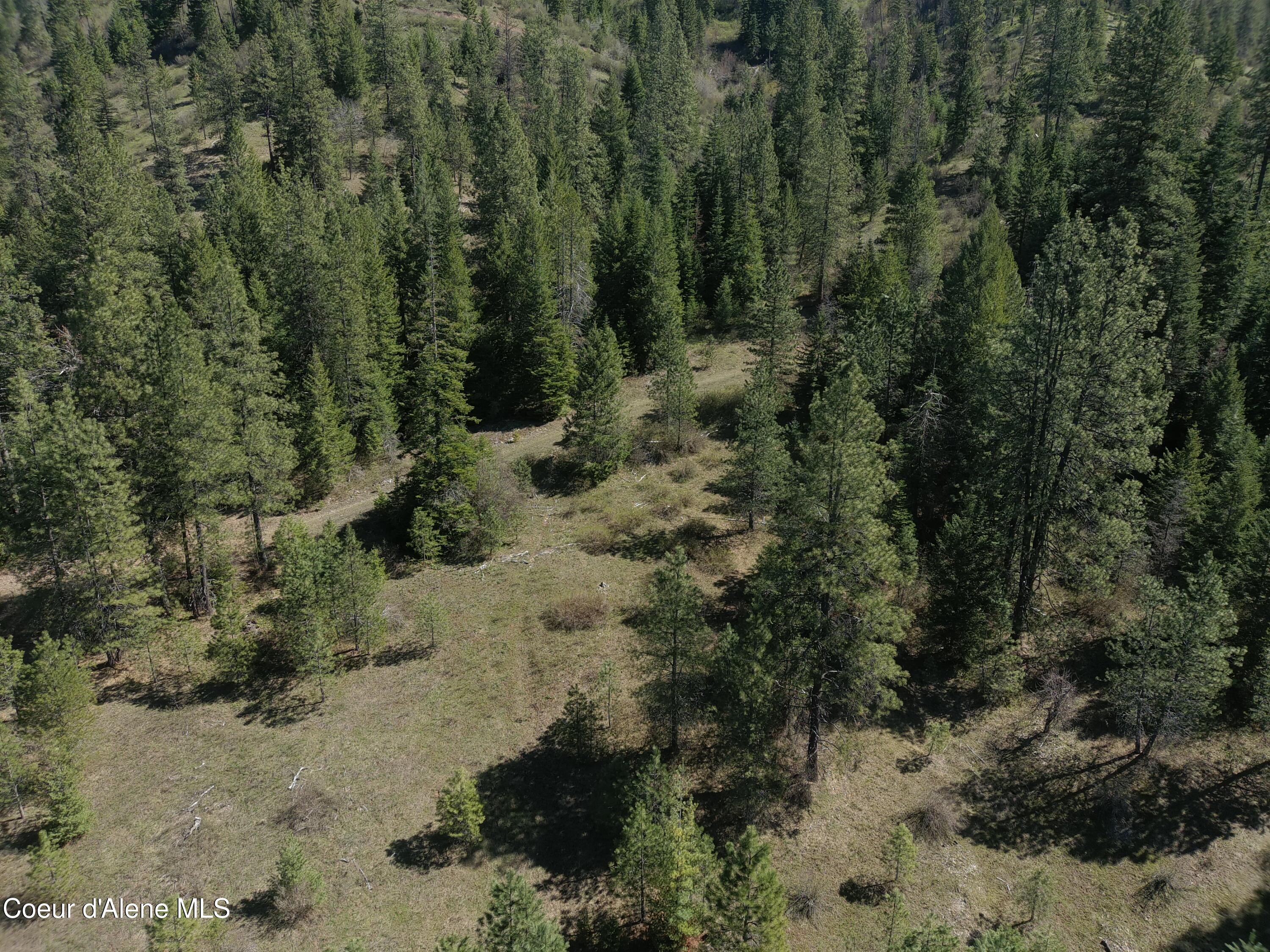 Carlin Creek Road, Unit 256 Harrison, ID 83833 - Photo 21 of 31 MAX_0022