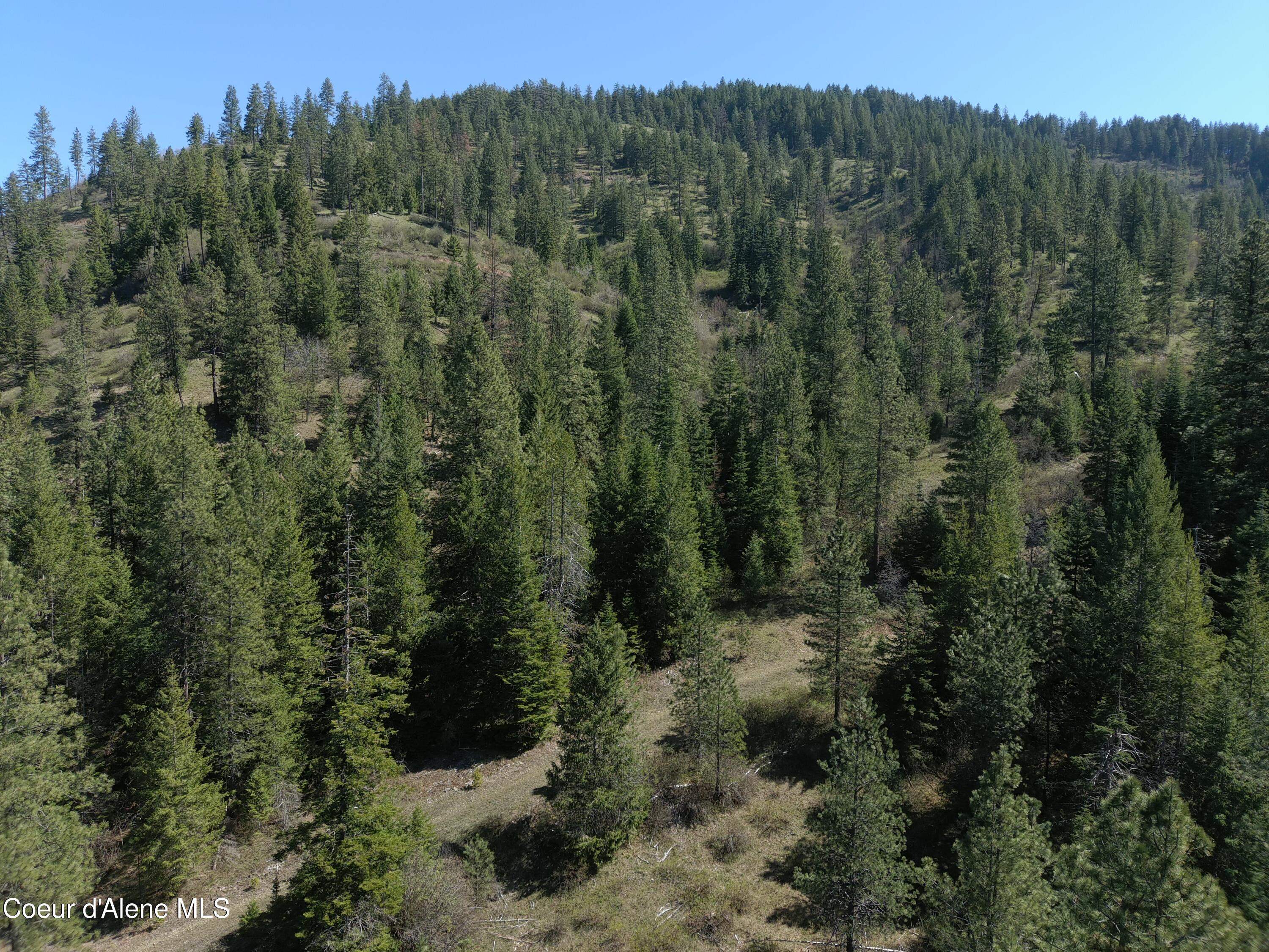 Carlin Creek Road, Unit 256 Harrison, ID 83833 - Photo 22 of 31 MAX_0024