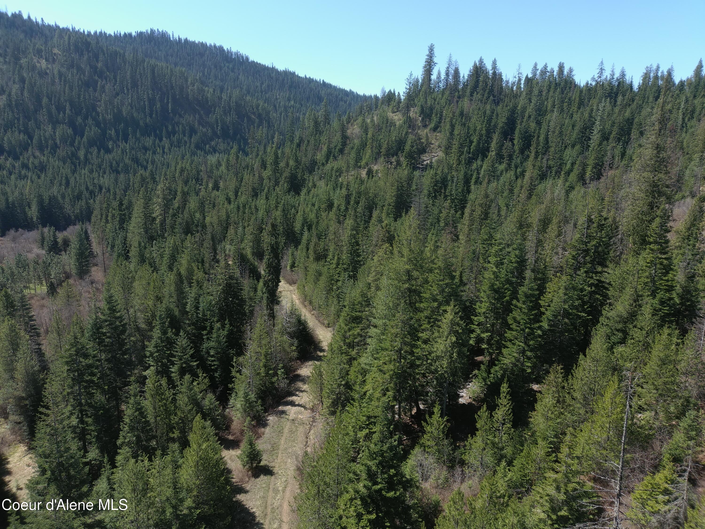 Carlin Creek Road, Unit 256 Harrison, ID 83833 - Photo 25 of 31 MAX_0031
