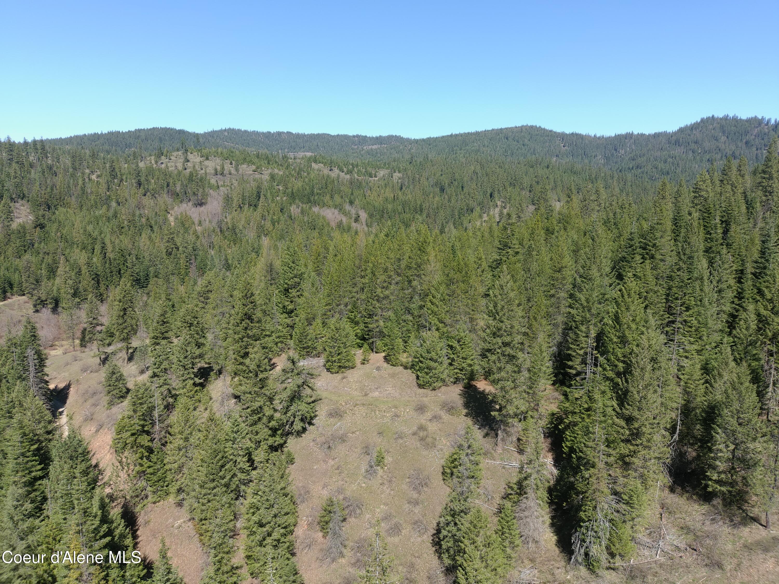 Carlin Creek Road, Unit 256 Harrison, ID 83833 - Photo 27 of 31 MAX_0036