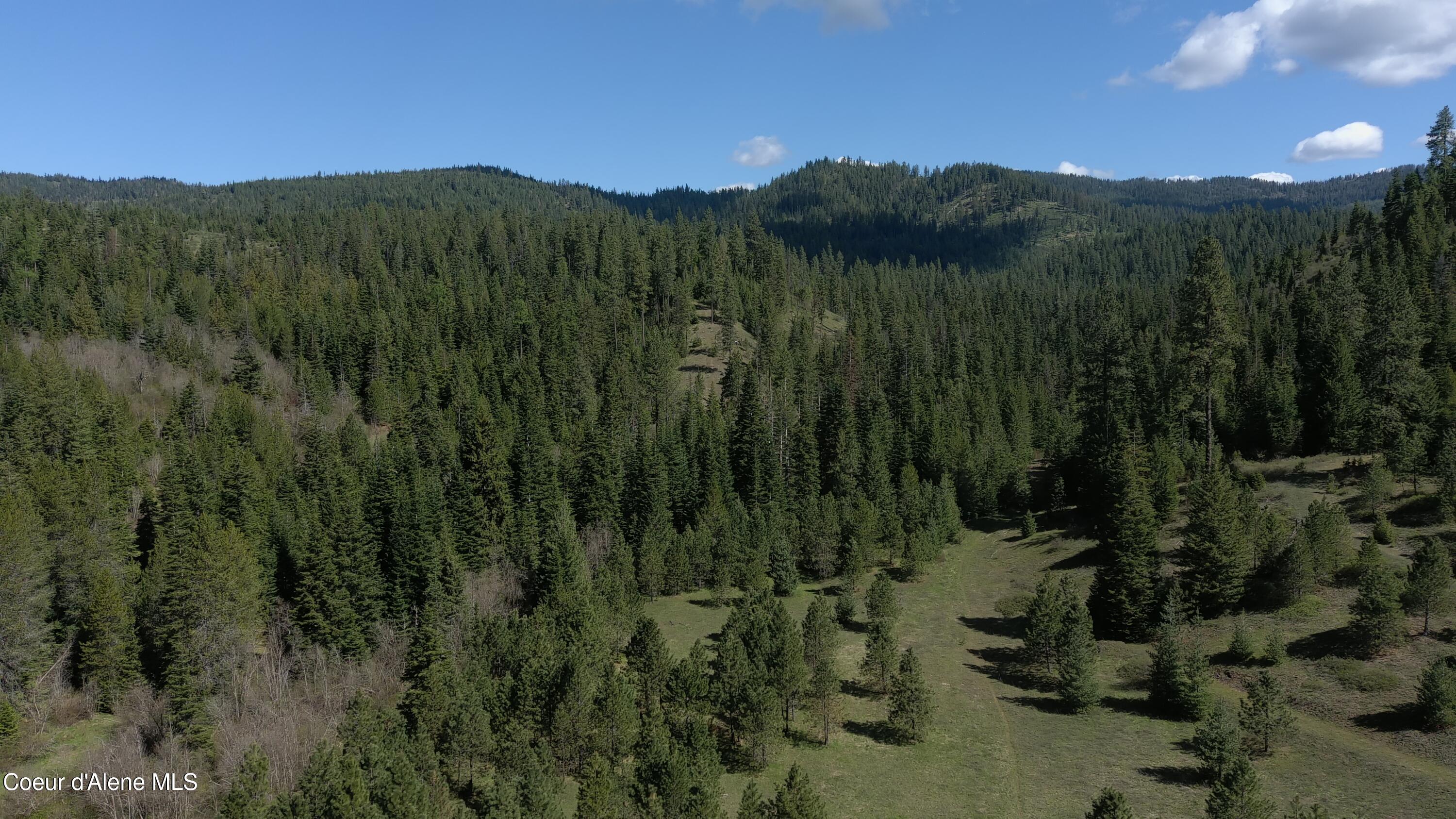 Carlin Creek Road, Unit 256 Harrison, ID 83833 - Photo 3 of 31 aMAX_0020