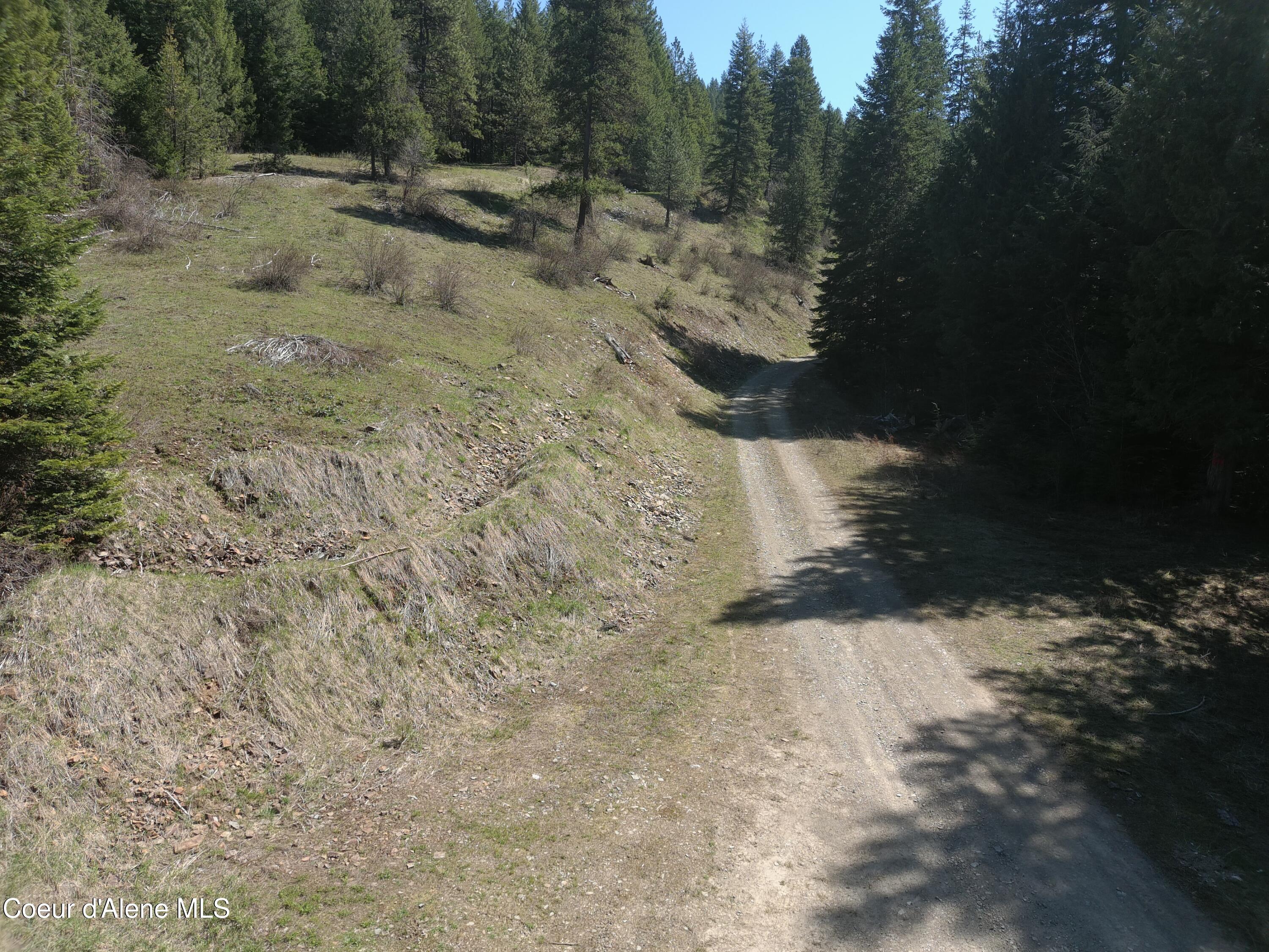 Carlin Creek Road, Unit 256 Harrison, ID 83833 - Photo 31 of 31 MAX_0041