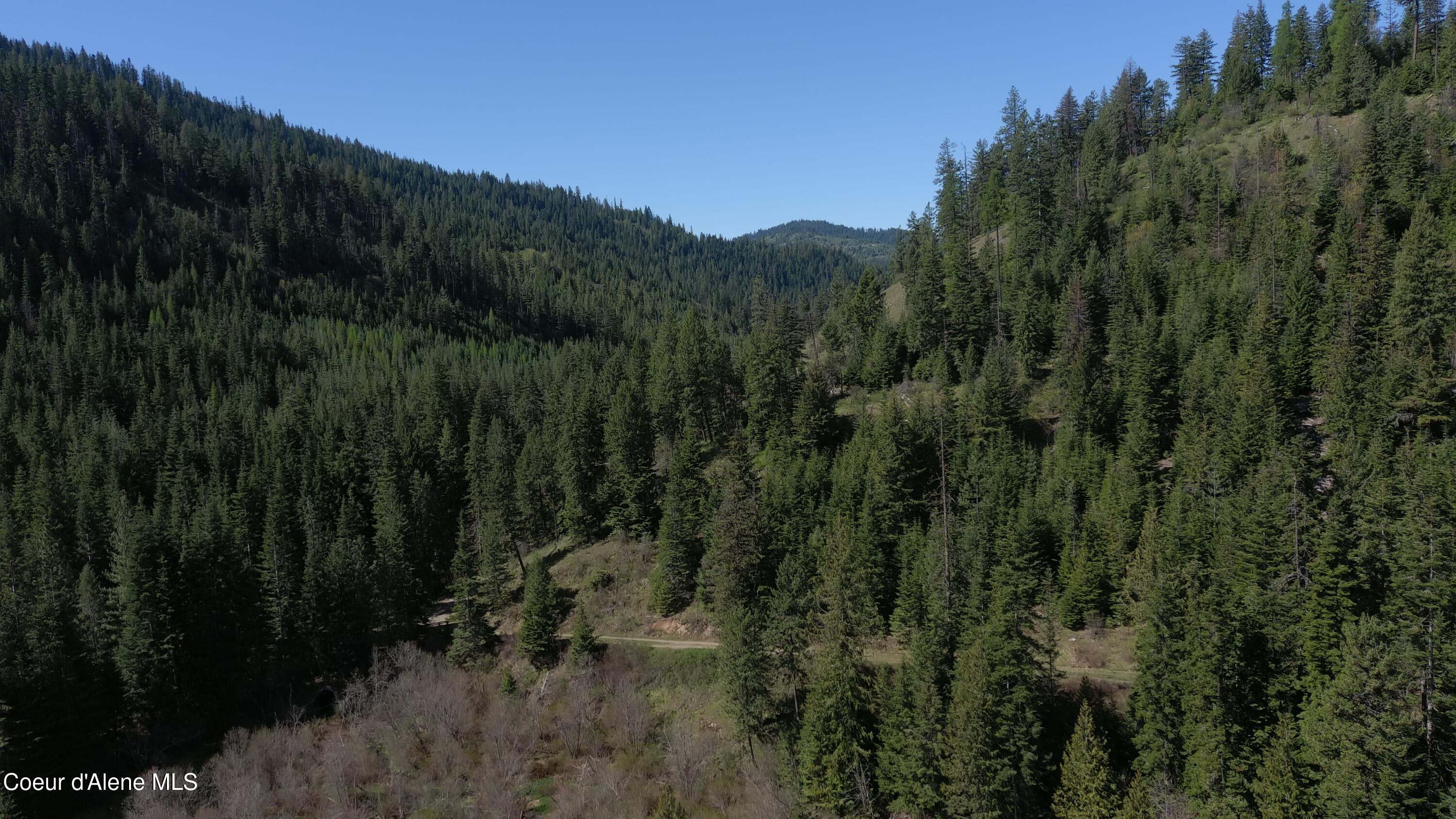 Carlin Creek Road, Unit 256 Harrison, ID 83833 - Photo 4 of 31 aMAX_0021