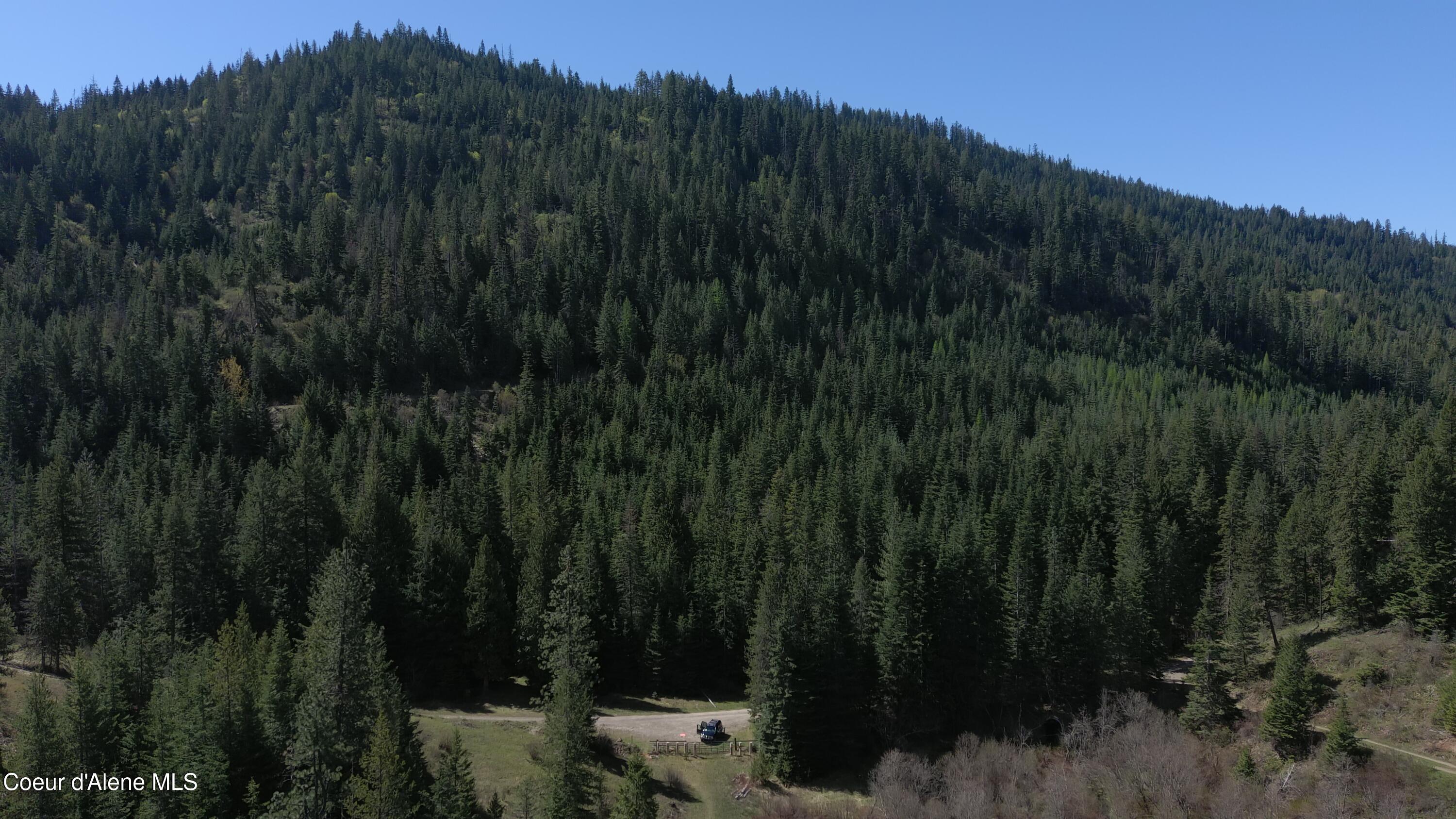 Carlin Creek Road, Unit 256 Harrison, ID 83833 - Photo 5 of 31 aMAX_0022